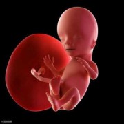 怀孕16周胎儿应该多大,怀孕16周胎儿有多大图片