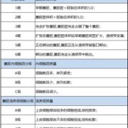 试管胚胎等级有哪些,胎儿级别是什么意思啊