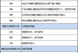 试管胚胎等级有哪些,胎儿级别是什么意思啊