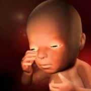 32周胎儿图片（32周胎儿图片真实）