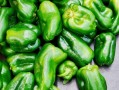 孕妇怀孕能吃青椒吗,孕期可以吃辣吗 初期