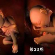 69天的婴儿能看多远,69天胎儿图片
