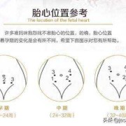胎儿什么时候有胎心（胎儿几周可以听到胎心）