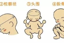 胎儿头臀高是什么意思（枕骨高的宝宝怎么抱）