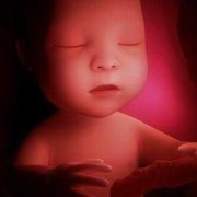 胎儿在肚子里一阵颤抖（胎儿在肚子里一阵颤抖怎么回事）