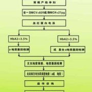胎儿地贫筛查（胎儿地贫筛查什么时候最准确）