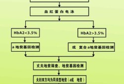 胎儿地贫筛查（胎儿地贫筛查什么时候最准确）