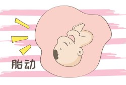 孕期第六周（怀孕6周该如何做人流）