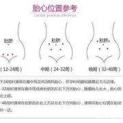 孕早期胎心多少正常,20周胎儿心跳多少正常