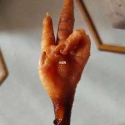 为什么怀孕不能吃鸡爪子,孕妇吃鸡爪胎儿畸形