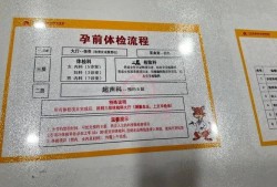 孕期照b超（婚检女性一般都检查什么项目啊，如果怀孕了能不能照B超检查啊）