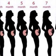 怀孕6个月胎儿有多重（6个月宝宝几天一次大便正常）