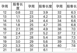 孕31周胎儿发育标准值是多少,胎儿31周体重多少正常