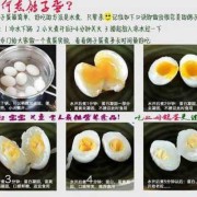 孕妇吃鸽子蛋对胎儿有什么好处（孕妇吃鸽子蛋最佳时期）