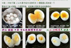 孕妇吃鸽子蛋对胎儿有什么好处（孕妇吃鸽子蛋最佳时期）