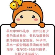 胎儿的活动（羊水的功能是限制胎儿的活动）