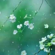 孕期分泌物青色（孕期分泌物青色会影响胎儿吗?）