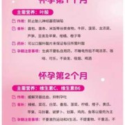 备孕期注意事项（备孕期注意事项及饮食禁忌）