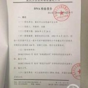 怀孕多久可以做DNA鉴定呢，对胎儿会有危害吗,胎儿损害赔偿请求权
