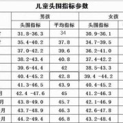 6个月胎儿头围标准（6个月胎儿头围标准表）