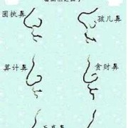 鼻子的拟人化30字,胎儿鼻梁偏短怎么办