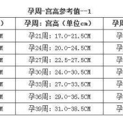 胎儿足月腹围（怀孕39周了宮高多少才是正常值啊还有腹围）