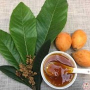孕期吃枇杷（孕妇能吃枇杷吗）