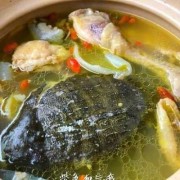 怀孕期间可以吃甲鱼炖鸡吗,孕期能吃甲鱼吗 初期