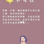 孕期试用期（孕期试用期可以辞退吗）
