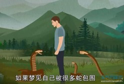 孕期梦见被蛇追（孕期梦见被蛇追着跑是什么意思）
