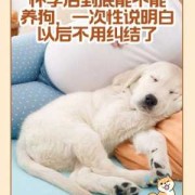 孕妇能养狗吗,怀孕期间养狗到底有没有影响