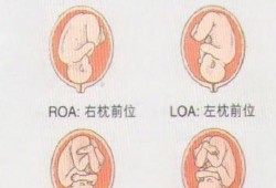 胎儿老在左边动的原因（胎儿老在左边动的原因是什么）