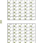 胎儿PI正常值（胎儿pi正常值范围）