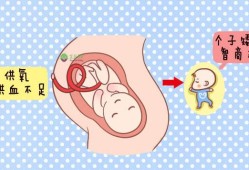 胎儿生长缓慢怎么办（胎儿生长缓慢怎么办呢）