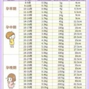 孕期体重不变（半年体重不变怎么办）