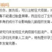 狂犬疫苗会影响胎儿吗（小孩打狂犬疫苗有副作用么）
