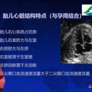 胎儿超声心动检查时间（胎儿超声心动检查时间长吗）