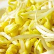 孕期能吃黄豆芽吗（孕期能吃黄豆芽吗?）