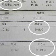 孕期甲胎蛋白（孕期甲胎蛋白高怎么回事）