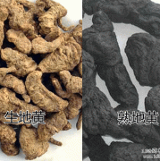 地黄对胎儿（地黄对胎儿有影响吗）