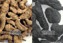 地黄对胎儿（地黄对胎儿有影响吗）