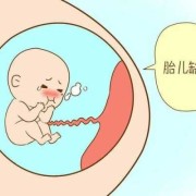 怀孕八个月多了，每天都能感觉到胎儿打嗝，胎儿打嗝还会缺氧吗,34周胎儿打嗝频繁是缺氧吗