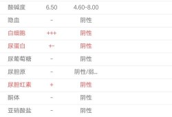 孕32周，尿常规检查细菌计数高很多,孕期尿检细菌偏高是怎么回事