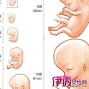 胎儿不肯动（胎儿不肯动的原因）