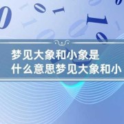 大象小象是什么意思,孕期梦见大象追着我跑