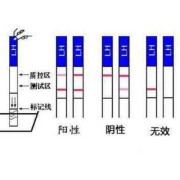 如何测孕期（如何测孕期时间）