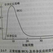孕期hcg变化曲线（孕期hcg变化曲线图）
