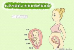 孕期宝宝位置（孕期宝宝位置变化）