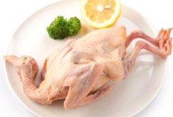 鸽子肉胆固醇高吗?孕妇能吃吗?会不会发胖,孕期怎么吃才不会胖呢