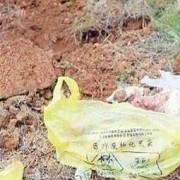 35周胎儿能引产吗（35周胎儿能引产吗视频）